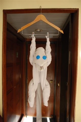 DSC 1100